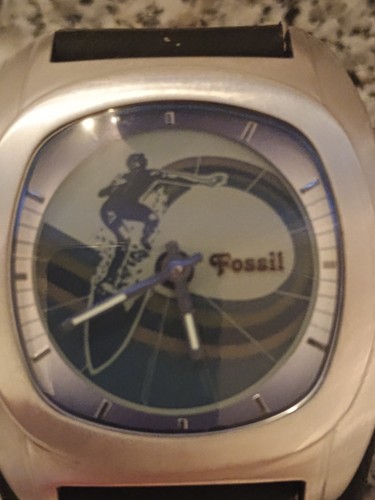 Fossil surfing animation - fossil,