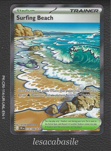 Surfing beach 114 - 114/086,